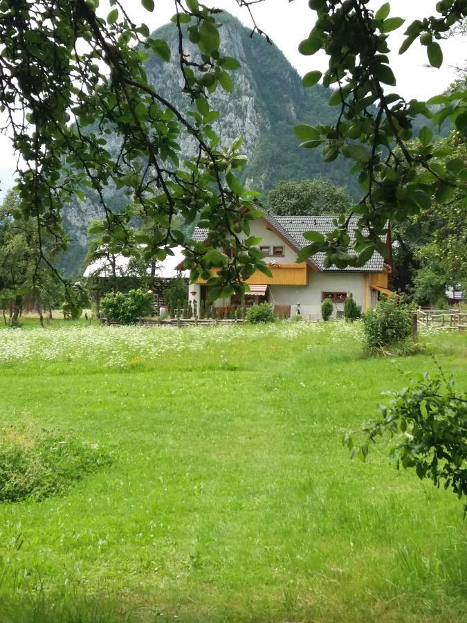Apartma Bremec-Studio Bohinj Bagian luar foto