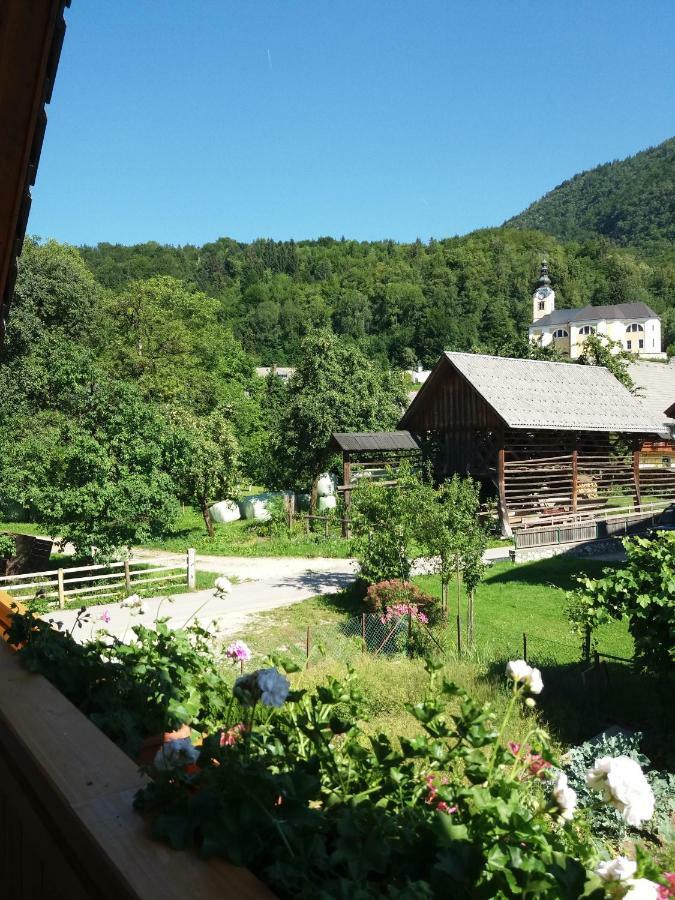 Apartma Bremec-Studio Bohinj Bagian luar foto