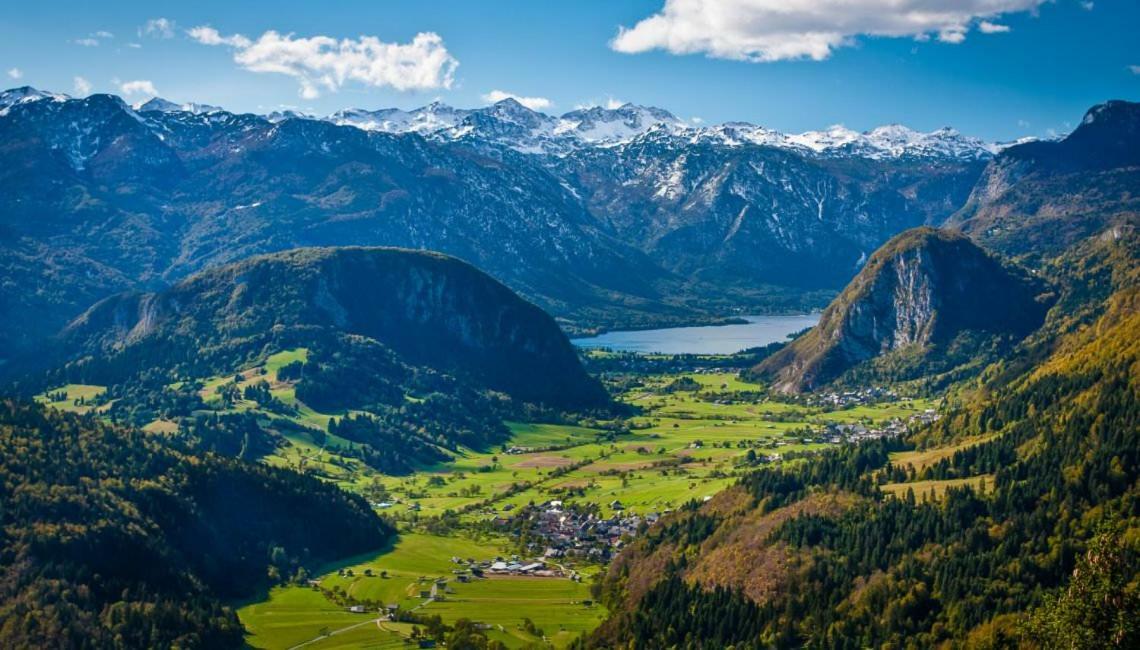 Apartma Bremec-Studio Bohinj Bagian luar foto